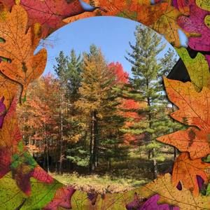 Meet your Posher, Jim